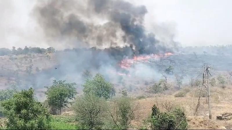 दो गांवो के बिच फारेस्ट विभाग के जंगल मे आग
