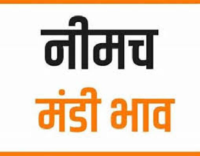 मंडी भाव: