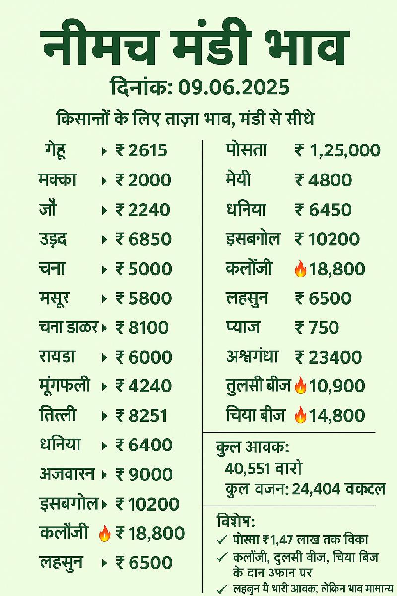 नीमच मंडी: