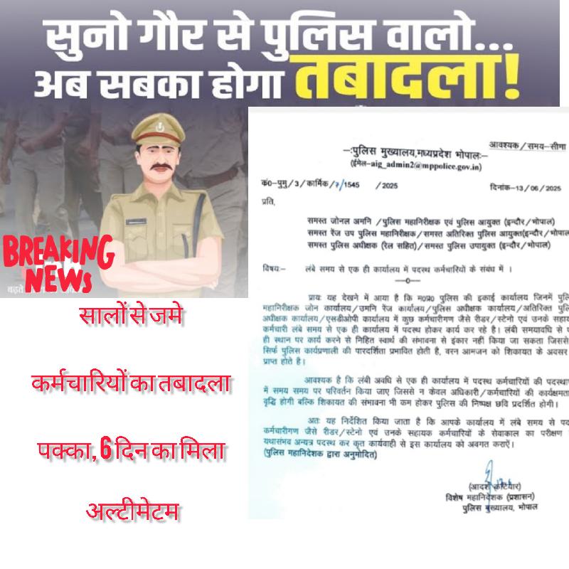 शहर: