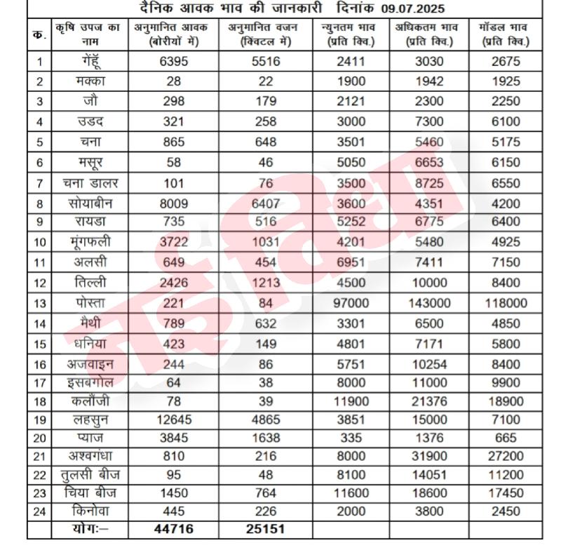 मंडी भाव: