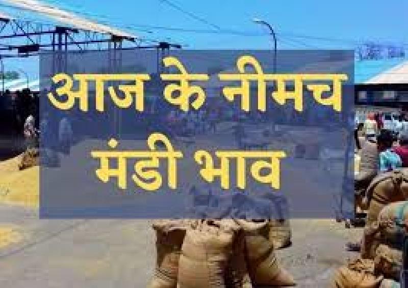  शुक्रवार 25 जुलाई 2025: